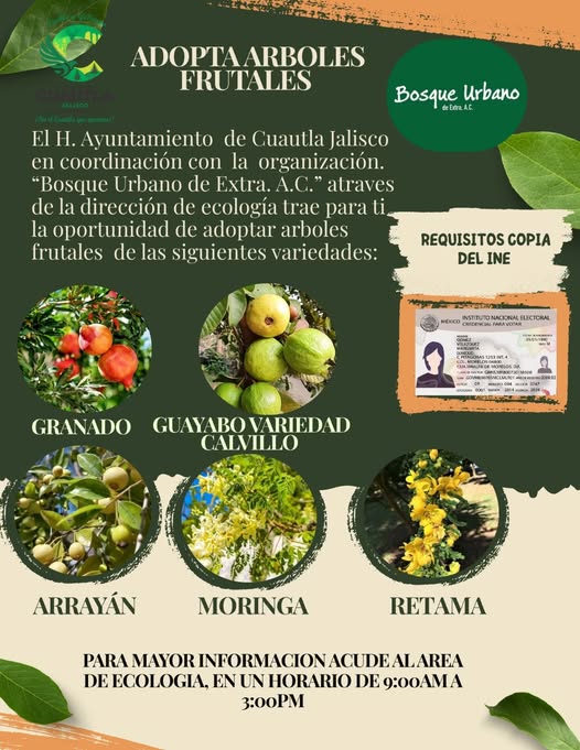 Aviso