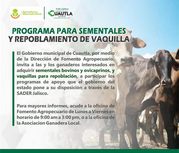Aviso